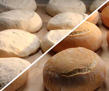 our bread